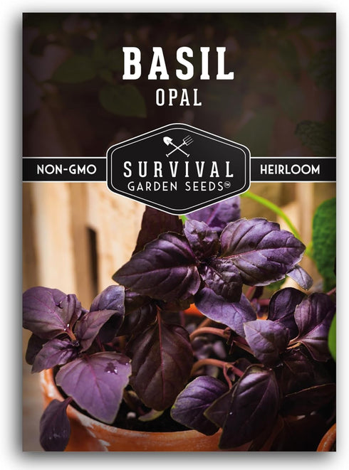 Opal Basil Seeds for Planting - Dark Opal Basil with Purple Leaves