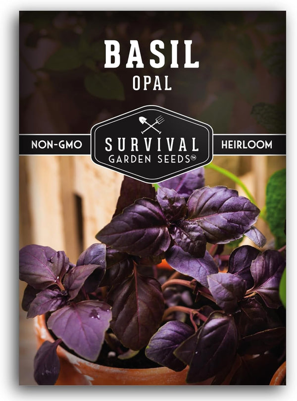 Opal Basil Seeds for Planting - Dark Opal Basil with Purple Leaves