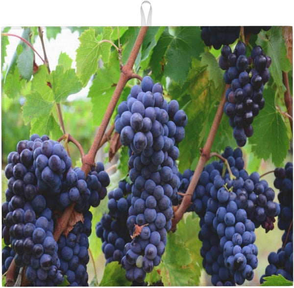 Fruit Purple Grapes Photo Absorbent Dish Drying Mats for Kitchen, Reversible Dish Pad Drainer Countertop Mats 18 x 16 In