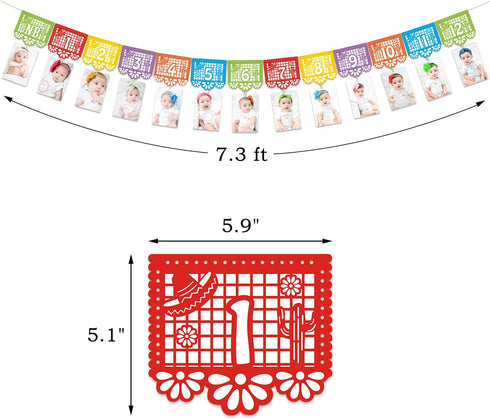Kitticcino 1st Birthday Photo Banner, Papel Picado Mexican Fiesta Monthly Garland, Baby Newborn to 12 Months, Cino de