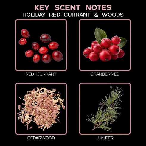 LOVSPA Reed Diffuser Set, Holiday Red Currant & Woods Scented Oil Diffuser with Sticks for Home Fragrance