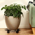 3 Packs 12.8" Metal Plant Caddy With Wheels - Large Rolling Stands Heavy-Duty Wrought Iron Roller Base Pot Movers