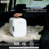 4L/4.23QT 12V NEWBULIG Mini Fridge for Bedroom, Office & Car, Portable Mini Refrigerator for Skincare with Handle