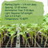 100+ 100+ Dwarf Duo Tiny Tim Tomato Seeds - Red & Yellow Dwarf Tomato Variety, Cherry Tomato Seeds for Containers
