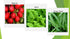 Apexmode 12 Premium Winter Vegetable Seeds for Planting Organic Non-GMO Heirloom Seeds Varieties: Radish, Pea