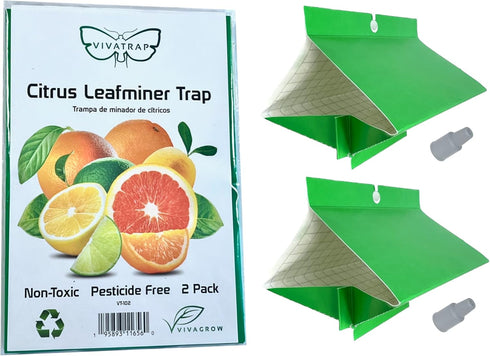 VivaTrap VT-102 Citrus Leafminer Trap & Lure (2 Pack, 8 Week)