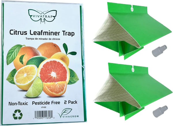 VivaTrap VT-102 Citrus Leafminer Trap & Lure (2 Pack, 8 Week)