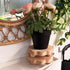 DEMULANS 3 Pack 5.9 Inch) Small Scalloped Wood Risers for Display ,Wooden Stands with Removable Feet Farmhouse Rustic