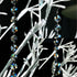 1ft 10pcs Teardrop Crystals Garland, Hanging Chandelier Crystals Prism Beads Chain for Wedding Home Decoration Clear