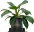 YUjieSTC 6 Inch, Small Floating Shelf Black Metal Wall Mount, Floating Wall Shelves for Router, Camera, Plants