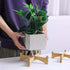 Wood Plant Stand, Bamboo Plant Stand, Sturdy Flower Pot Holder for Indoor Outdoor, Mid Century Modern Design