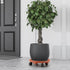 CINDALOG 3 Pack 13 inch 180 lbs Plant Caddy with Wheels Rolling Plant Stands Round Plant Stand Dolly for Outdoor Indoor