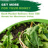 320+ TKE Farms & Gardens - Bloomsdale Spinach Seeds for Planting, Heirloom Non-GMO Seeds, Cold-Hardy & Long Standing