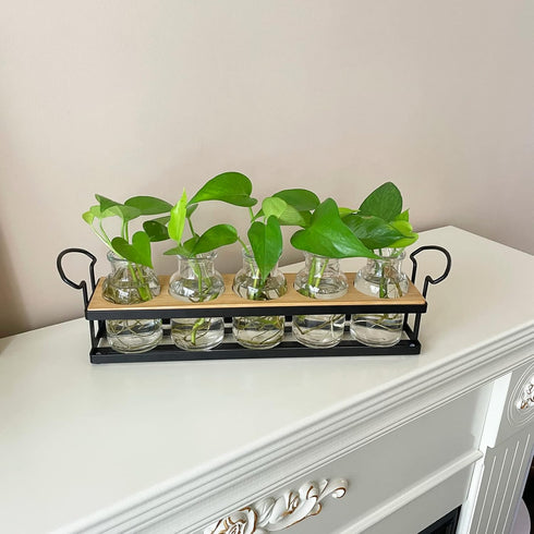 5 THYGIFTREE Plant Propagation Stations with Metal Stand, Tabletop Plant Terrarium for Propagating Hydroponic, Retro