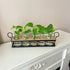 5 THYGIFTREE Plant Propagation Stations with Metal Stand, Tabletop Plant Terrarium for Propagating Hydroponic, Retro