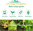 Apexmode 3500+ Long Green Scallion Seeds for Planting, Bunching Long Green Onion Seeds, Non-GMO Organic Heirloom
