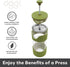 Oggi French Press Coffee Maker, 12oz Borosilicate Glass, Single Cup French Press, 3 Cup Capacity, Olive