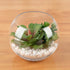 WGV Bowl Glass Vase, 8" Diameter, 6.5" Height, Clear Bubble Planter for Wedding Event Home Decor