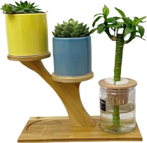 Window Sill Plant Shelf, Bamboo Desk Plant Stand, Table Succulent Holder for Home, Office, Living Room, Bedroom Decor
