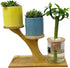 Window Sill Plant Shelf, Bamboo Desk Plant Stand, Table Succulent Holder for Home, Office, Living Room, Bedroom Decor