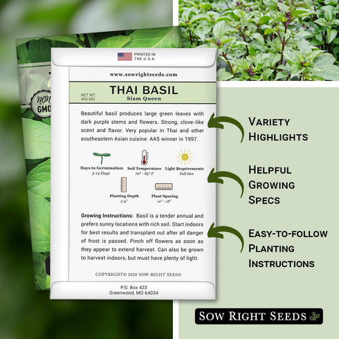 Packet (1) Sow Right Seeds - Sweet Large Leaf Thai Basil Seed for Planting - Non-GMO Heirloom with Instructions