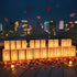 30PC 2000PC Will You Be My Girlfriend Light Up Letters Luminary Bags, Banner, Romantic Decoration Kit with Bright LED