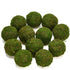 BYHER Handmade Natural Green Moss Decorative Ball, Set of 12 (2")