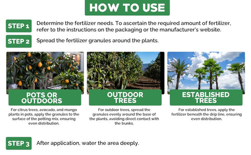 (3 GARDENWISE Avocado & Citrus Tree Fertilizer for Indoor & Outdoor Plants | Quick-Release Nitrogen - Citrus Fertilizer