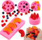 5Pcs Fruit Shaped Jelly Molds, 3D Mini Silicone Fruit Mold for Cupcake Decorating, Soap, Chocolate