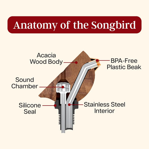 Songbird Specialties Wine Bottle Pourer, Fun Wine Pourer Spout Sings While It Pours, Airtight Wine Bottle Sealer