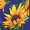 IHR Ideal Home Range Cocktail Napkins Disposable 3-Ply Paper Party Napkin Pack, 5" x 5", Sunshine, 20-Count