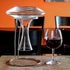 Lily's Home Wine Decanter Drying Stand with Rubber Coated Top, Includes Cleaning Brush for Standard Decanters