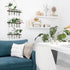 5 3 XXXFLOWER Wall Hanging Propagation Station with Wooden Stand Glass Test Tubes Tiered Planters Wall Terrarium