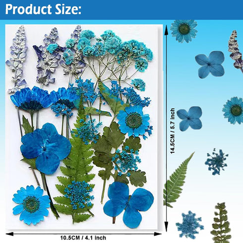 Flowers for Resin Model, Real Pressed Flowers Dry Leaves Bulk Natural Herbs Kit for Scrapbooking DIY Art