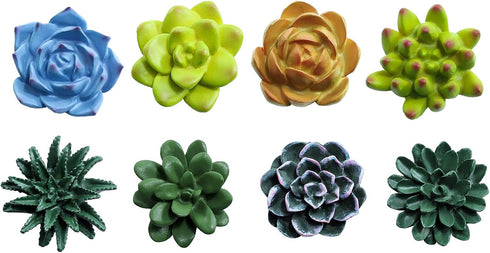Plant Pattern 3D Resin Succulent Fridge Magnets, Set of 8 White Board Magnets for Home Office Display