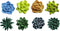 Plant Pattern 3D Resin Succulent Fridge Magnets, Set of 8 White Board Magnets for Home Office Display