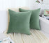 Jeneoo Set of 2 Soft Velvet Throw Pillow Covers, Decorative Cushion Cases for Sofa Couch (18 x 18 Inches, Sage Green)
