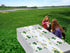 Simhomsen Large Irish Clover Table Runners for St. Patrick’s Day, Embroidered Shamrock Table Scarf, 14 × 105 Inch
