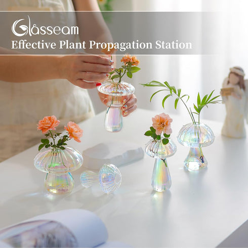 5 Glasseam Mushroom Propagation Stations for Plants: Iridescent Propagation Vase of Glass Hydroponic Jars for Home Room
