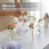 5 Glasseam Mushroom Propagation Stations for Plants: Iridescent Propagation Vase of Glass Hydroponic Jars for Home Room