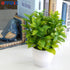 OFFIDIX Mini Plastic Artificial Eucalyptus Leaves, Faux Plant with Pots for Home and Office Decor