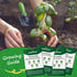 10 Pack 7,000+ Herb Seeds Variety - Heirloom Non-GMO Seeds - Basil, Cilantro, Lavender, Parsley, Dill, Thyme, Chives