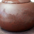 Teapot 270ml Clay Xishi Pots, China Gongfu Tea Infuser for Loose Tea, Blooming