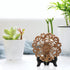 Petutu 6 Pack Wooden Display Stand Plate Easels Holder (Black)