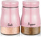Bivvclaz 5 oz Stainless Steel Pink Salt and Pepper Shakers Set with Glass Bottom, Cute Kitchen Decor and Accessories,