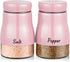 Bivvclaz 5 oz Stainless Steel Pink Salt and Pepper Shakers Set with Glass Bottom, Cute Kitchen Decor and Accessories,