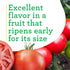 19.3 oz. 4-pack Bonnie Plants Big Beef Tomato