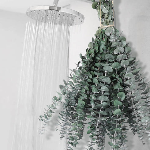 12 PCS Large Dried Eucalyptus Bundle for Shower - 17" Preserved Stems, Fresh Real Leaves for Hanging Decor