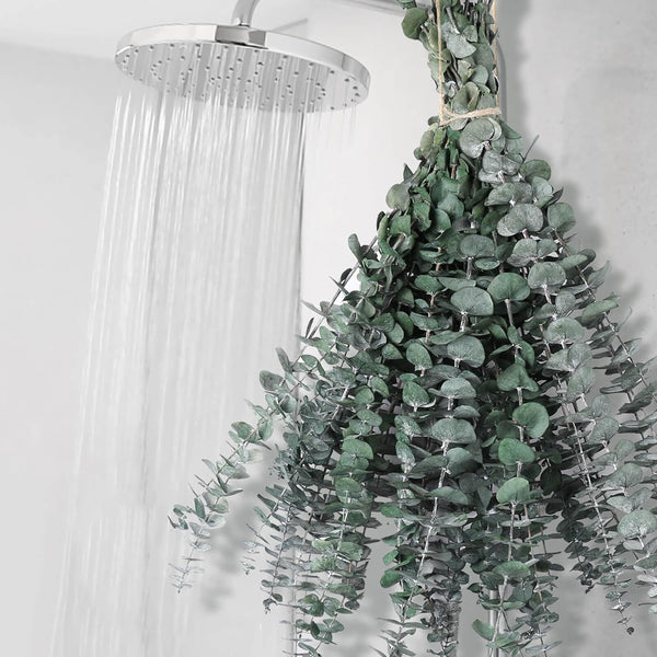 12 PCS Large Dried Eucalyptus Bundle for Shower - 17" Preserved Stems, Fresh Real Leaves for Hanging Decor
