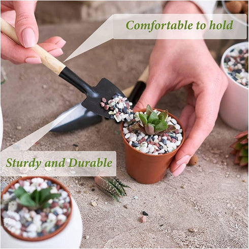 Wishlotus Mini Gardening Tools, 3Pcs Portable Hand Tools Set for Indoor Gardening and Succulents
